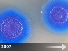 2007