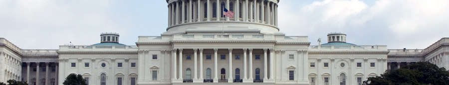 options for governance