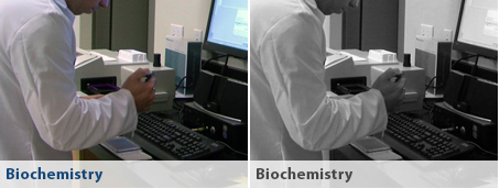 biochemistry & assay development