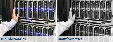 bioinformatics