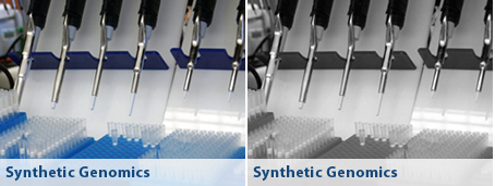 synthetic genomics