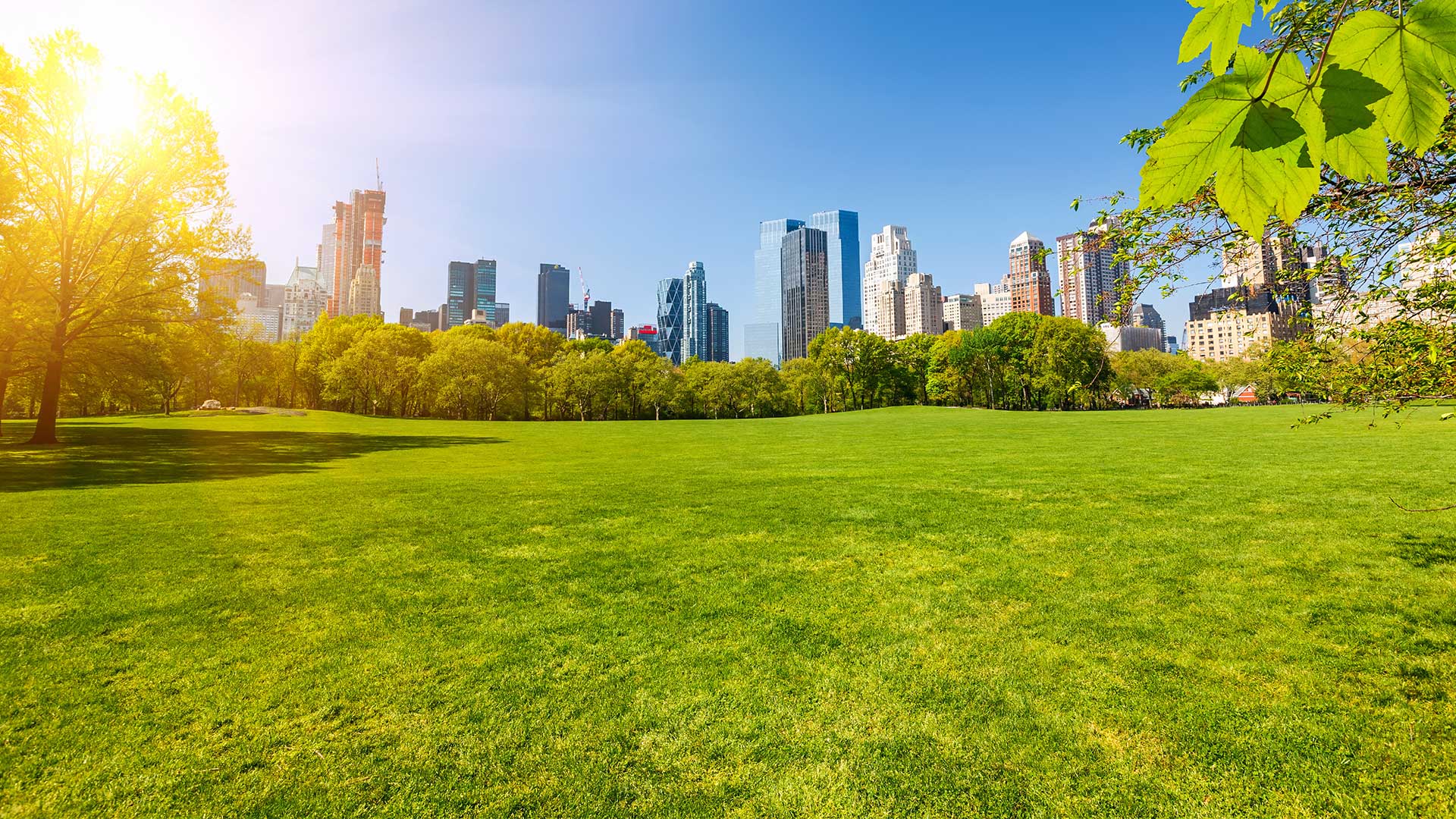 slider-sunny-clean-city-tall.jpg